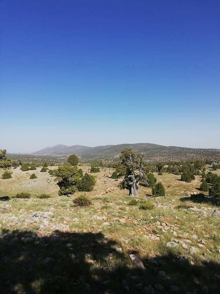 Karaman Akpınar Köyü Resimleri 17