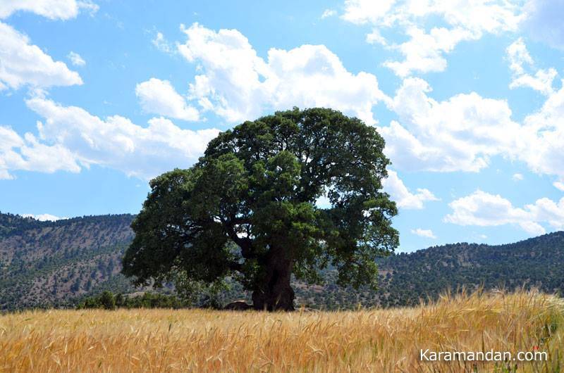 Karaman Alaçatı Köyü Resimleri 2