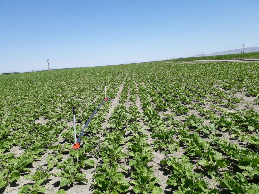 Karaman Alaçatı Köyü Resimleri 5