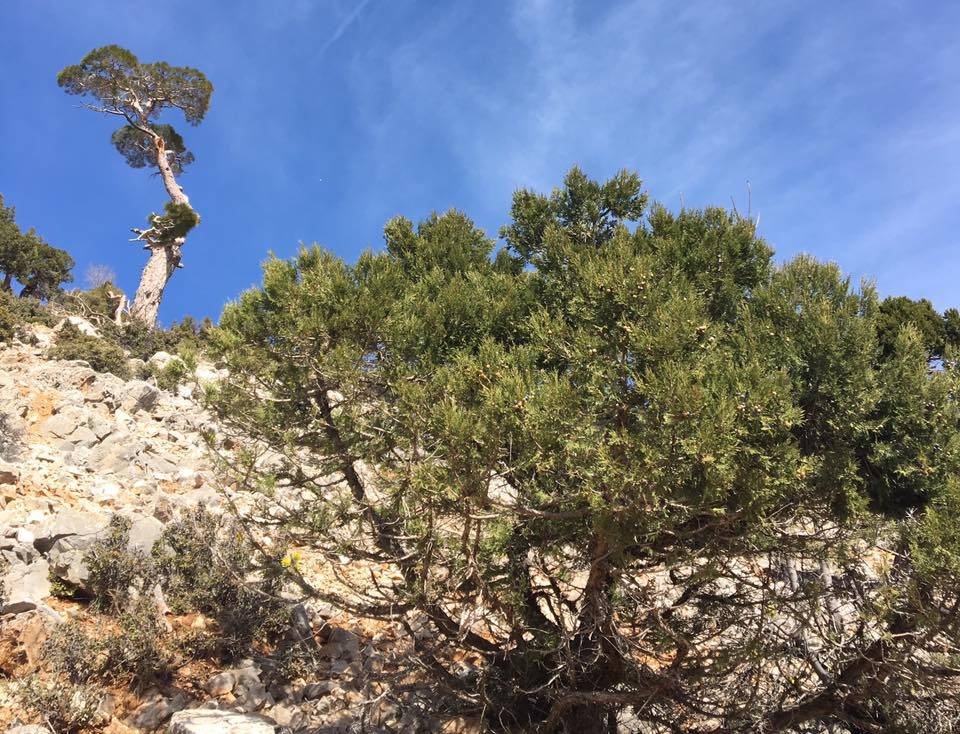 Karaman Bademli Köyü Resimleri 1