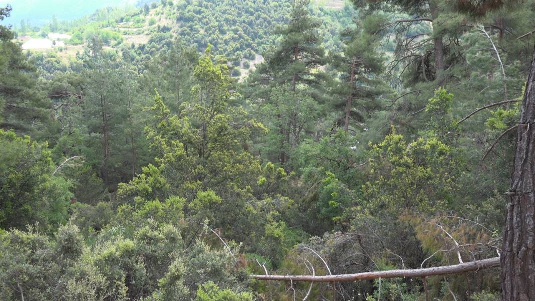 Karaman Boyalı Köyü Resimleri 11