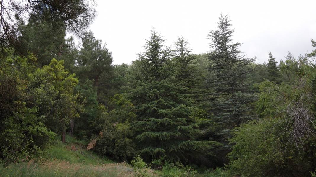 Karaman Boyalı Köyü Resimleri 14