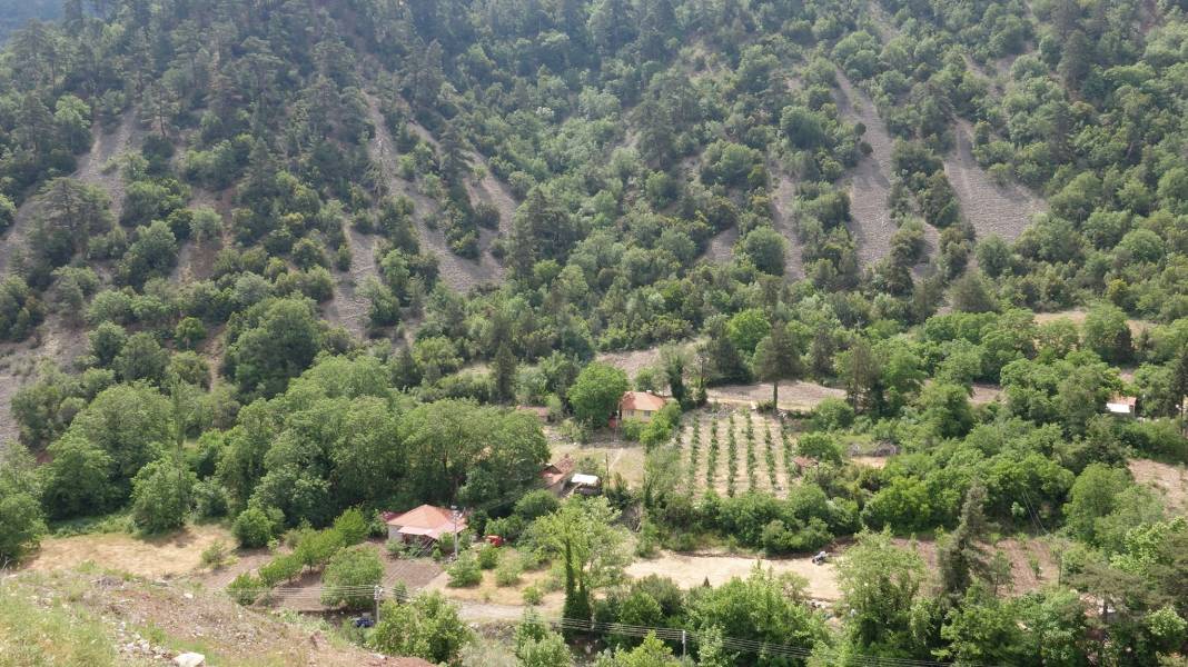 Karaman Boyalı Köyü Resimleri 16