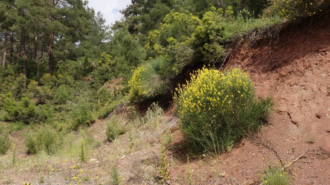 Karaman Boyalı Köyü Resimleri 18
