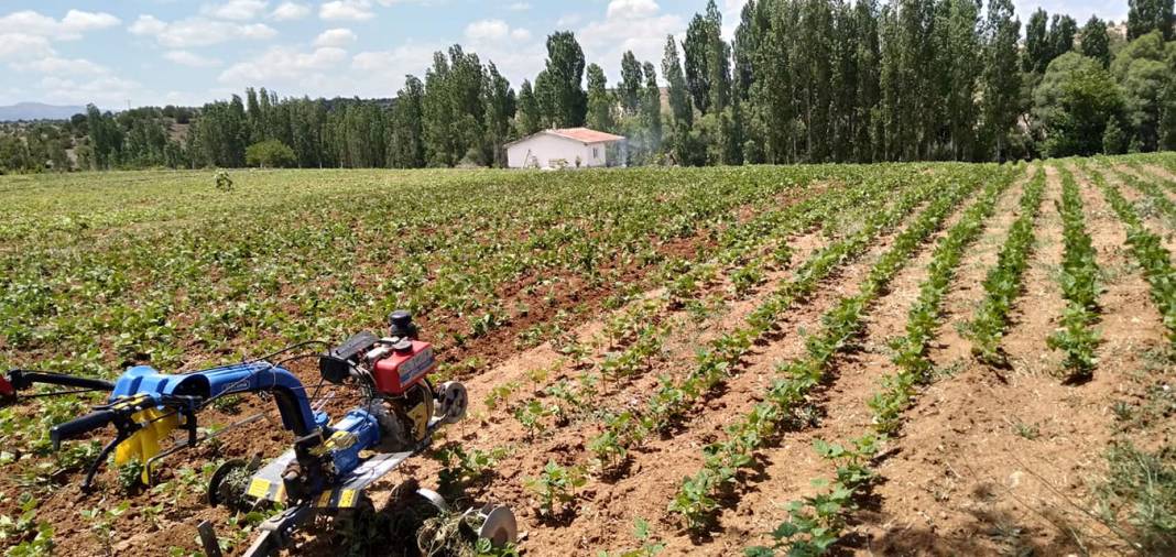 Karaman Bozkandak Köyü Resimleri 12