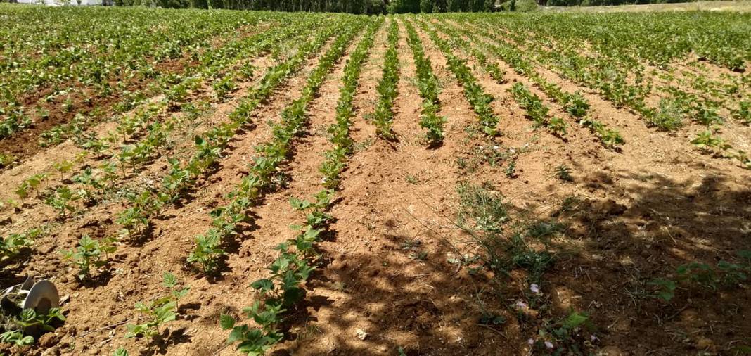 Karaman Bozkandak Köyü Resimleri 13