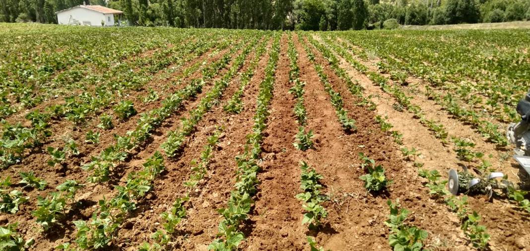 Karaman Bozkandak Köyü Resimleri 14