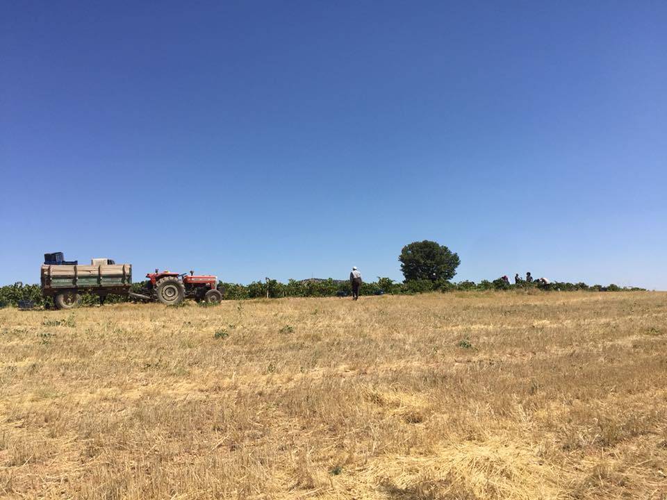 Karaman Bozkandak Köyü Resimleri 2