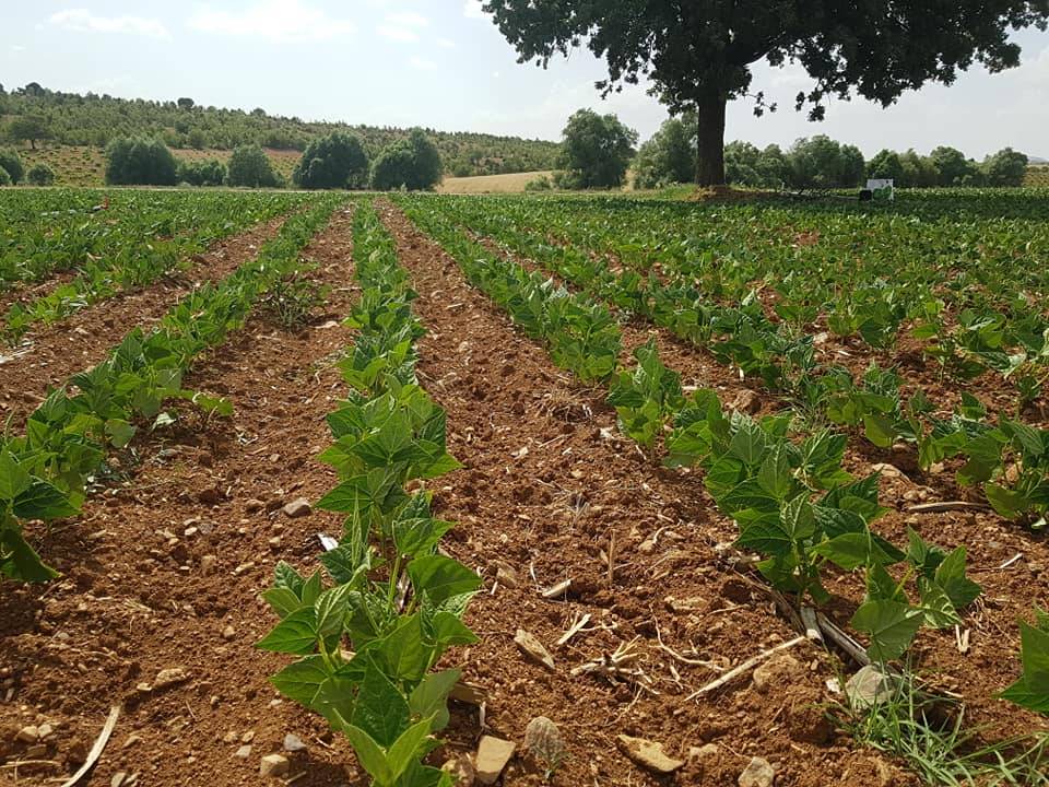 Karaman Bozkandak Köyü Resimleri 5
