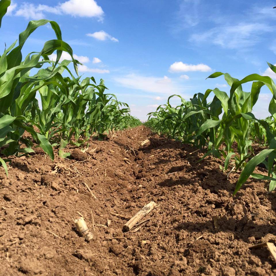 Karaman Bölükyazı Köyü Resimleri 4