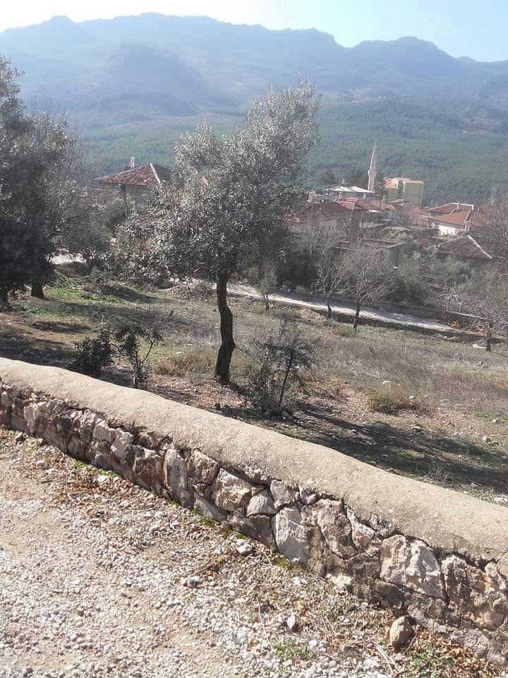 Karaman Bucakkışla Köyü Resimleri 10