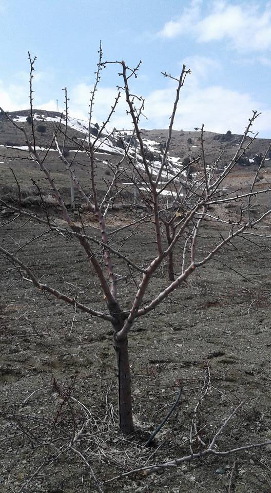 Karaman Bucakkışla Köyü Resimleri 5