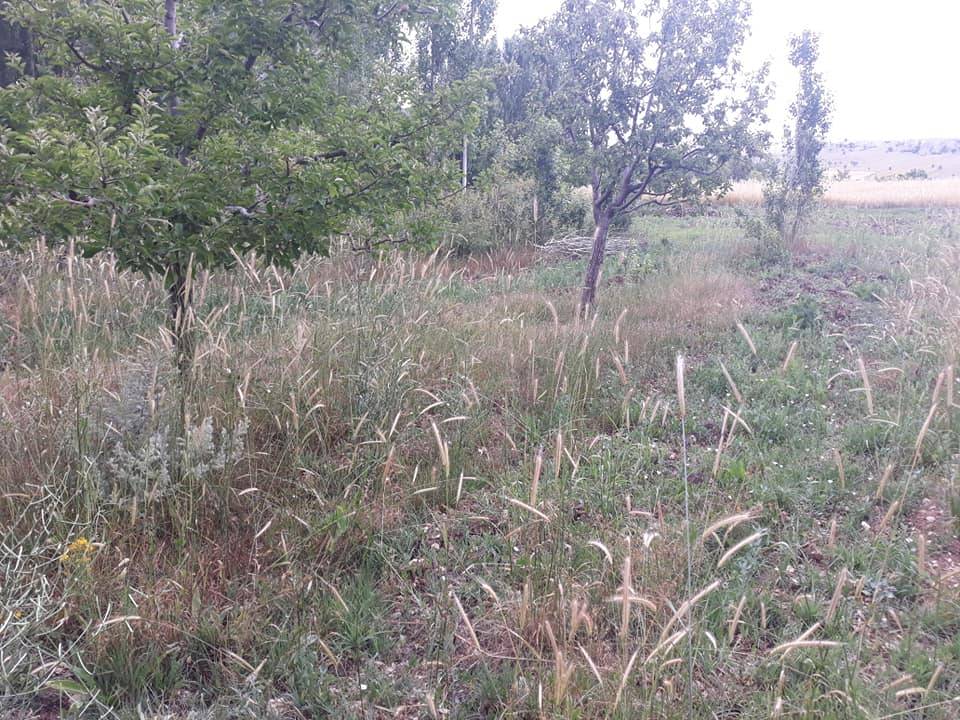 Karaman Burhan Köyü Resimleri 12