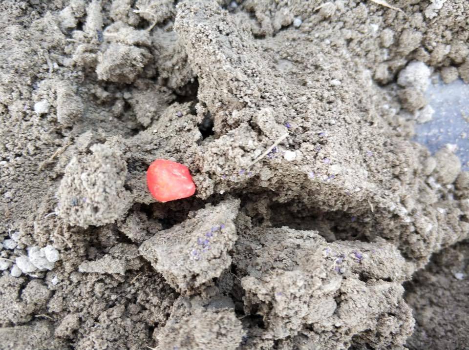 Karaman Burunoba Köyü Resimleri 3