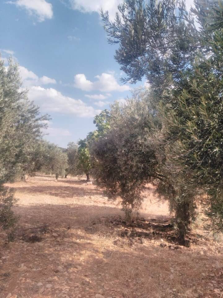 Karaman Cerit Köyü Resimleri 2