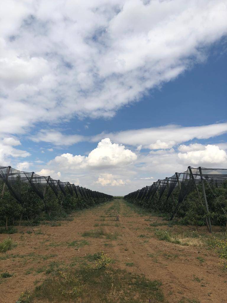 Karaman Çiğdemli Köyü Resimleri 4