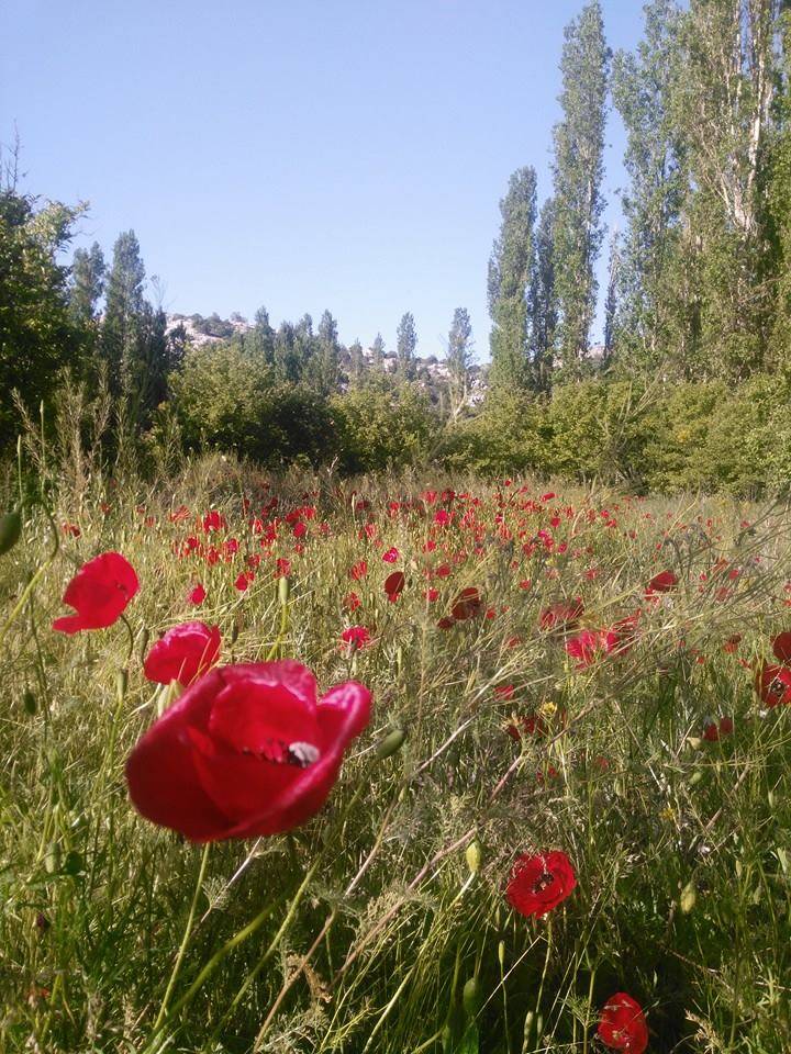 Karaman Çukurbağ Köyü Resimleri 2
