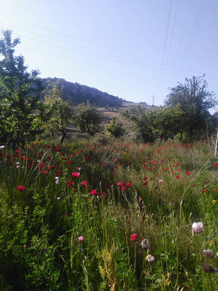 Karaman Çukurbağ Köyü Resimleri 5