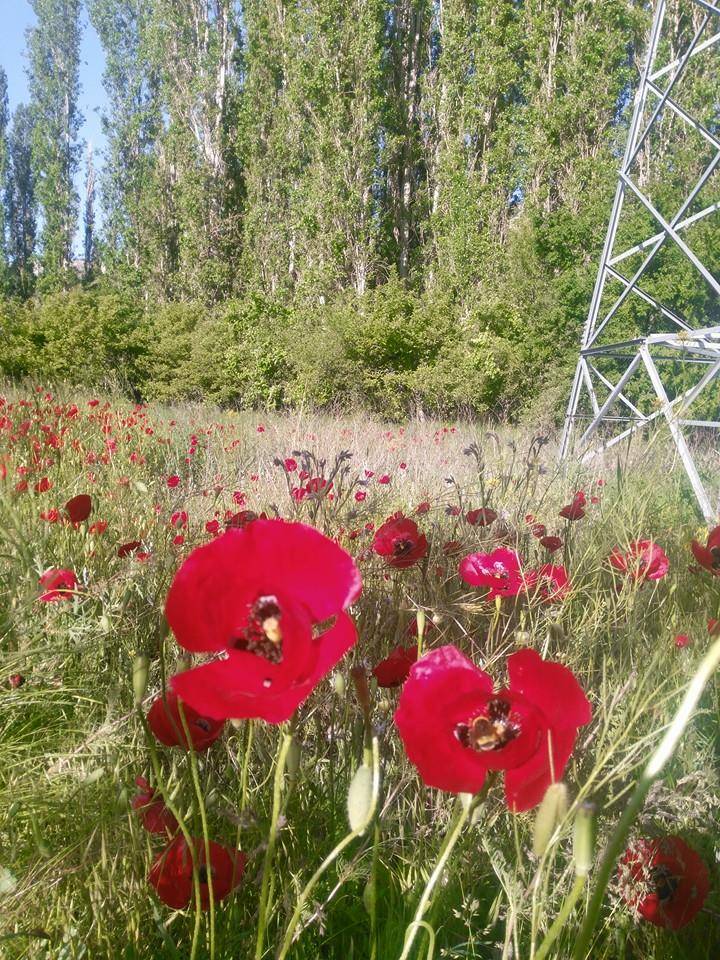 Karaman Çukurbağ Köyü Resimleri 6