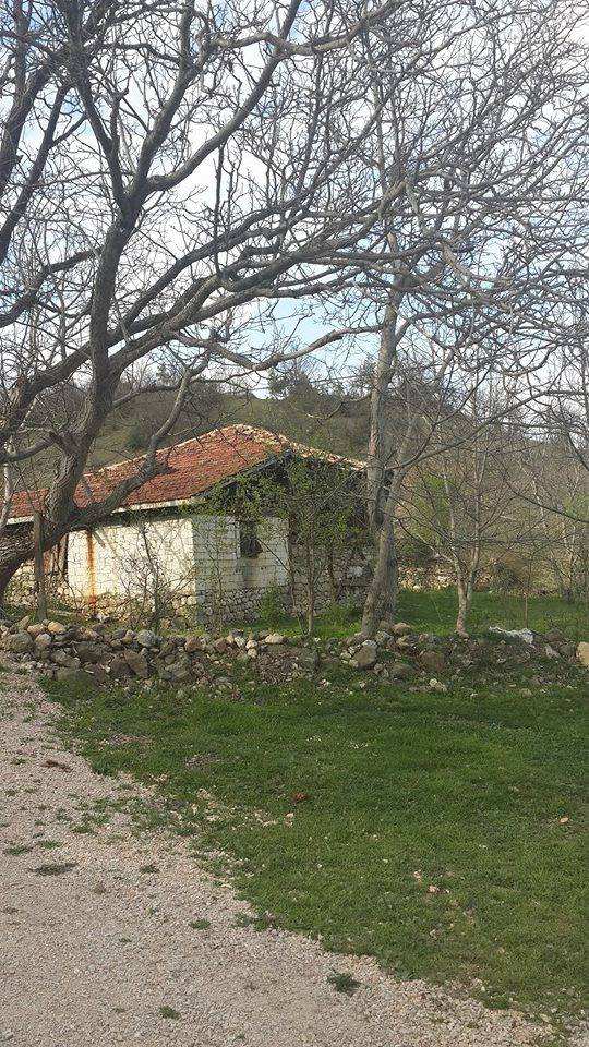 Ovacık Taşoğlu Köyü Resimleri 1