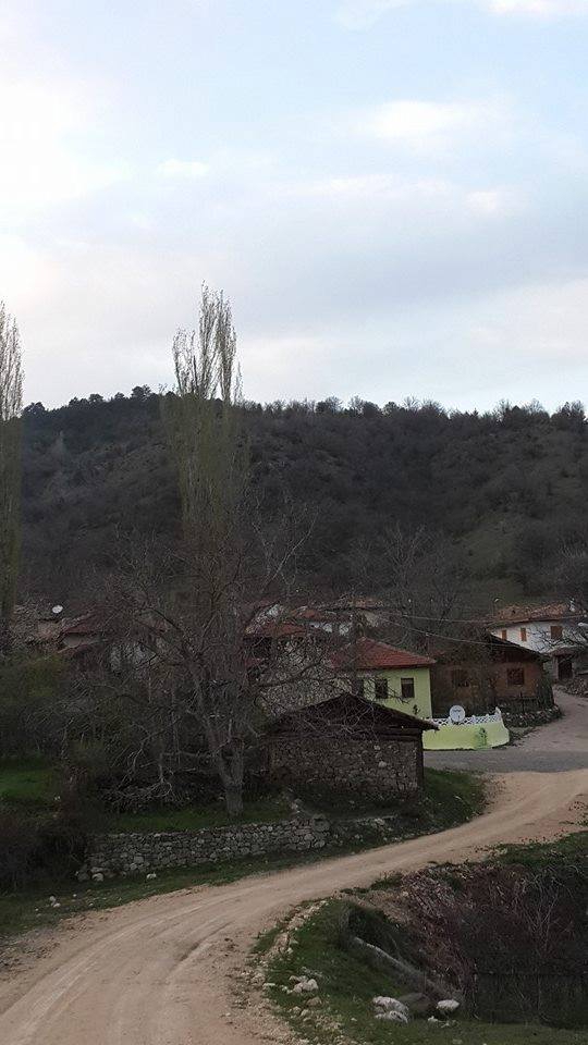 Ovacık Taşoğlu Köyü Resimleri 2