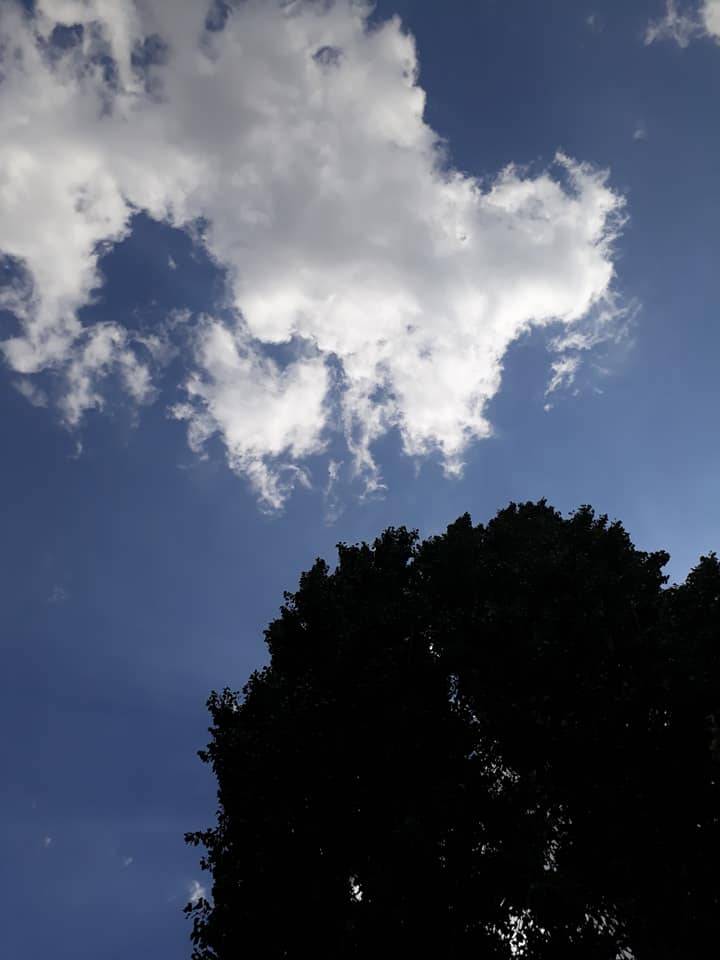 Karaman Dağkonak Köyü Resimleri 8