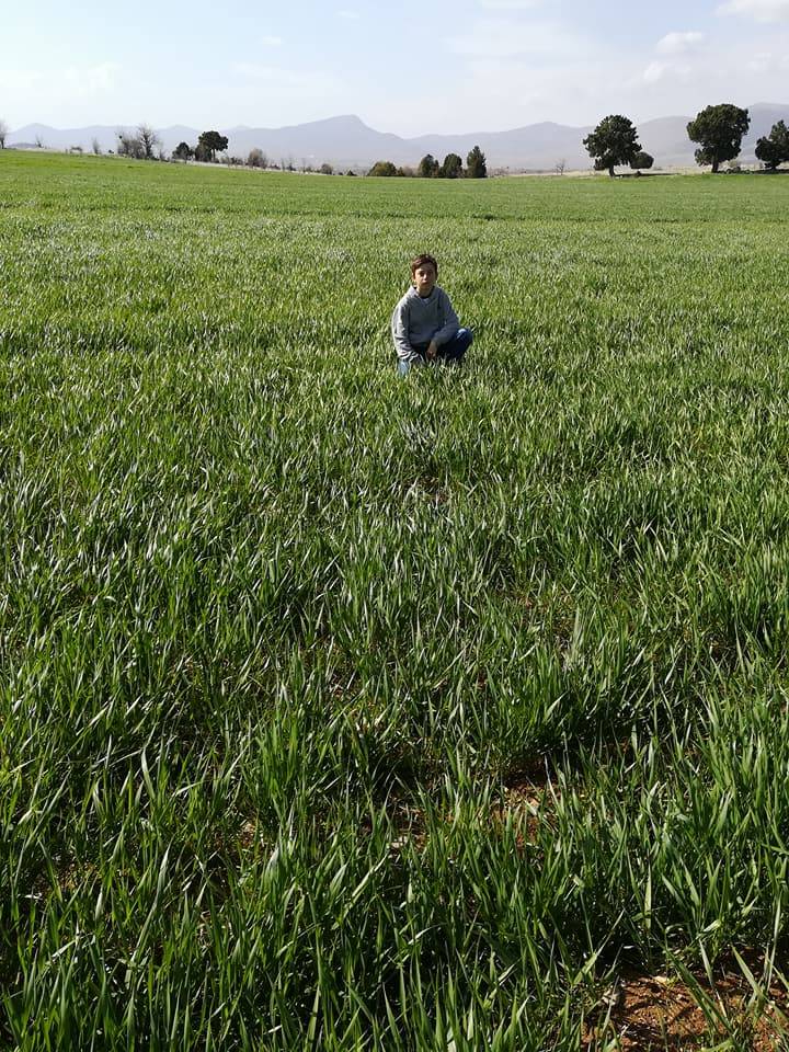 Karaman Damlapınar Köyü Resimleri 12