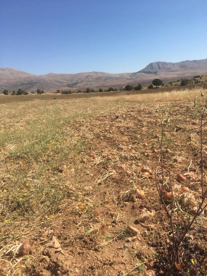 Karaman Damlapınar Köyü Resimleri 13