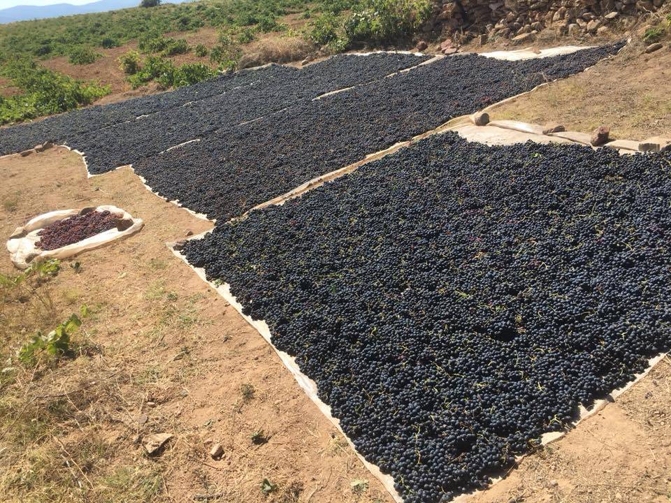 Karaman Damlapınar Köyü Resimleri 17