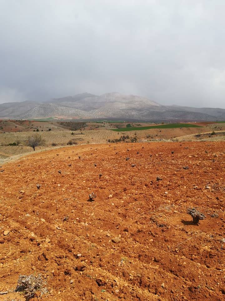 Karaman Damlapınar Köyü Resimleri 5