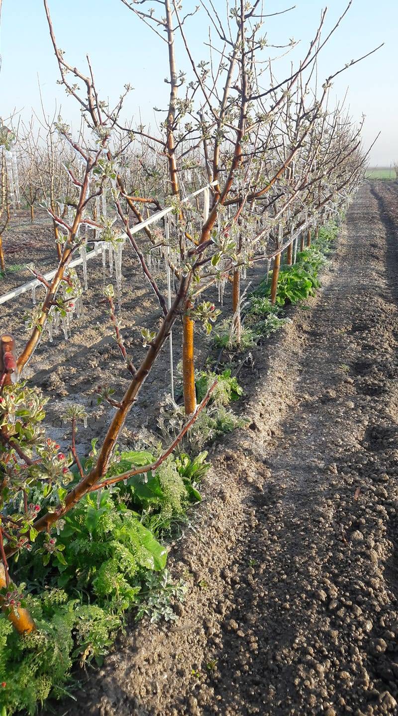 Karaman Ekinözü Köyü Resimleri 9