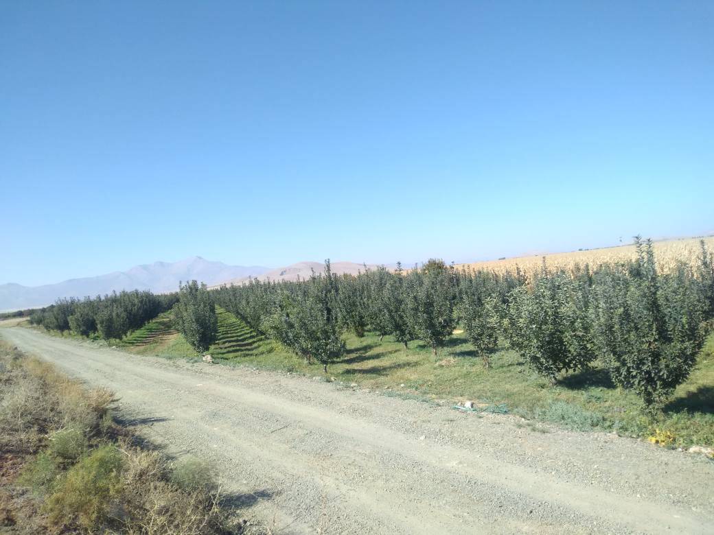 Karaman Eminler Köyü Resimleri 11