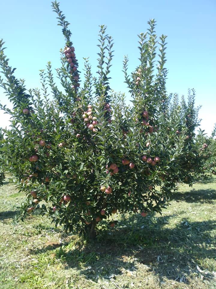 Karaman Eminler Köyü Resimleri 12