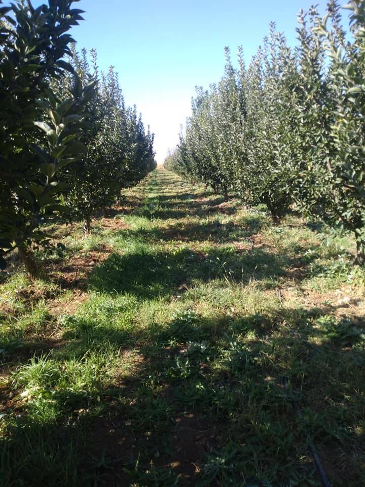 Karaman Eminler Köyü Resimleri 13