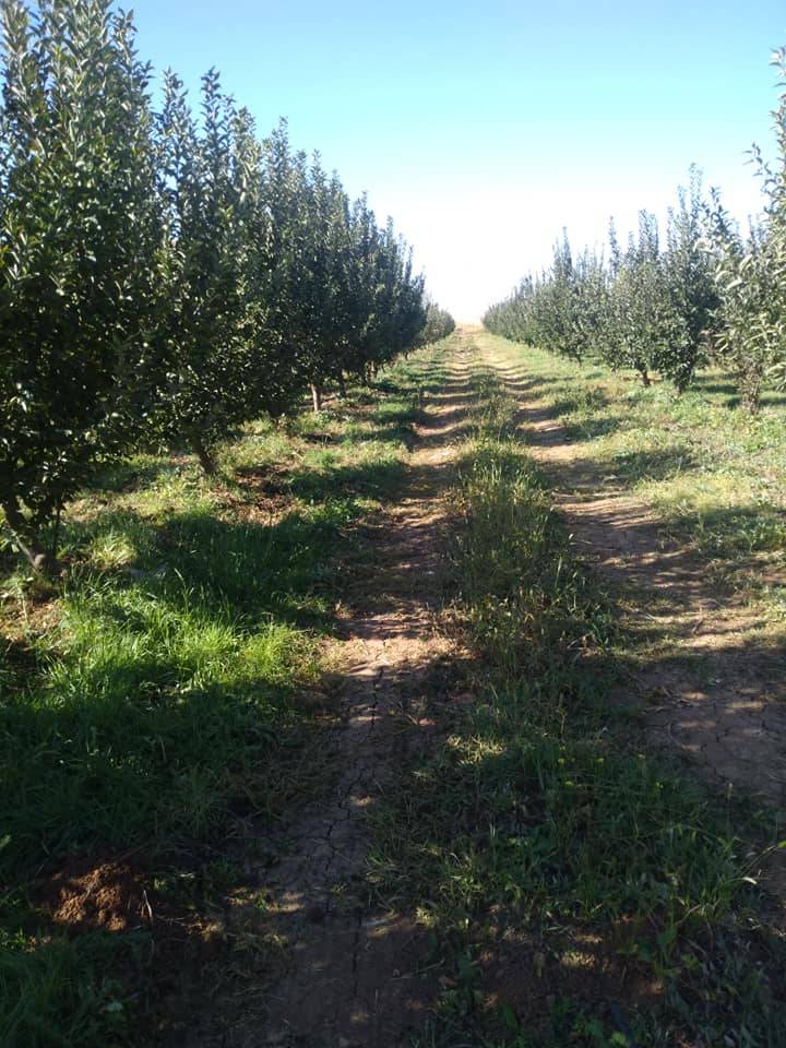 Karaman Eminler Köyü Resimleri 15