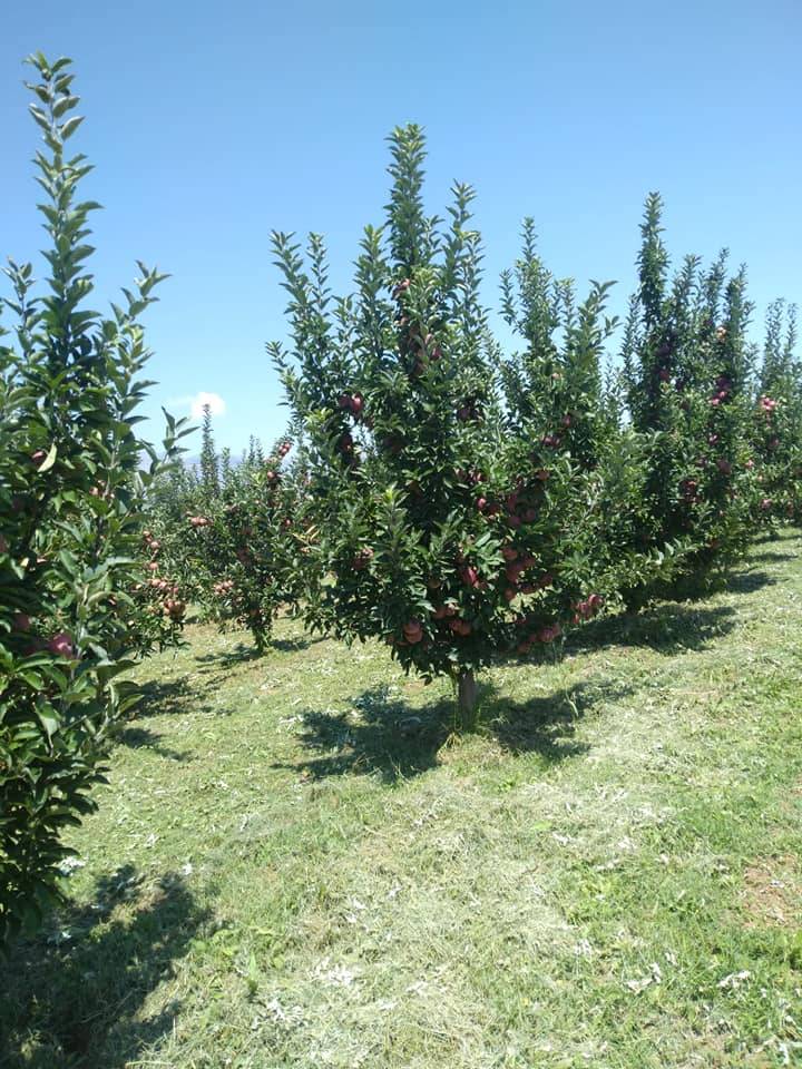 Karaman Eminler Köyü Resimleri 16