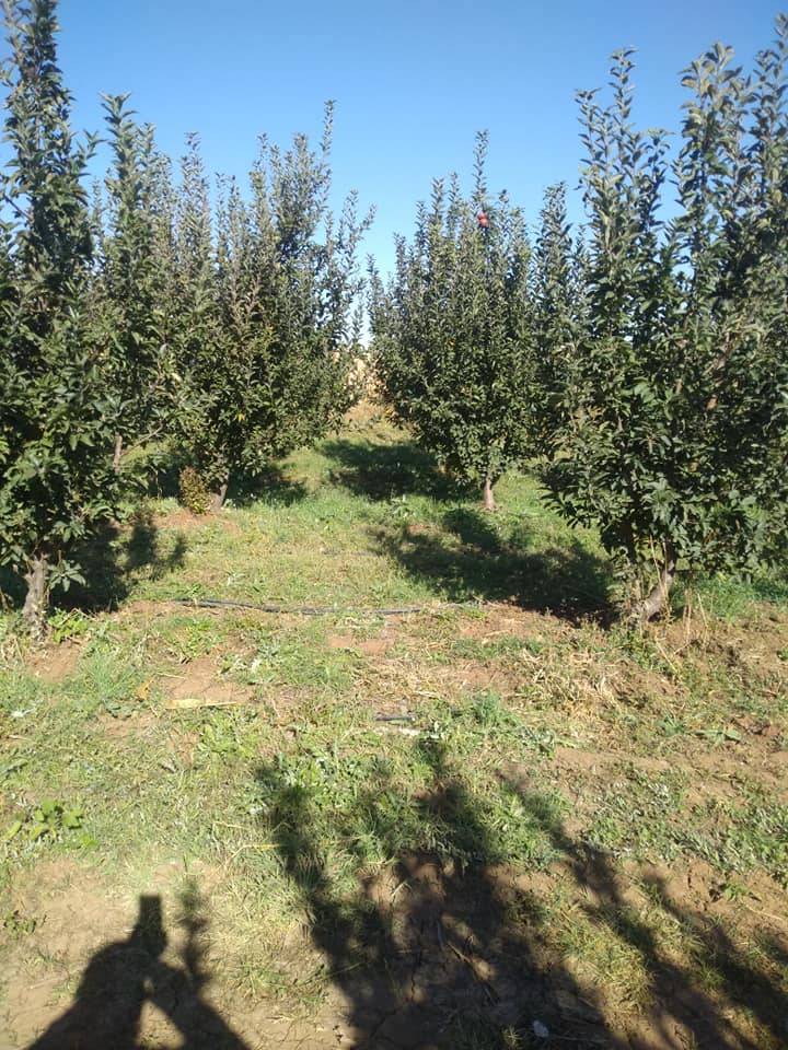 Karaman Eminler Köyü Resimleri 17