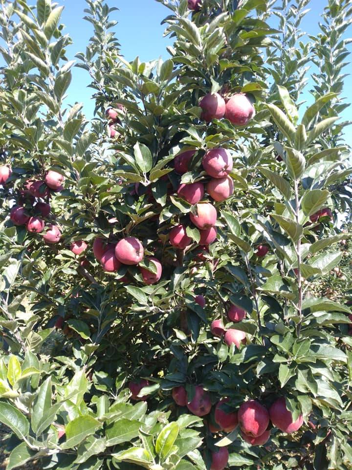 Karaman Eminler Köyü Resimleri 18