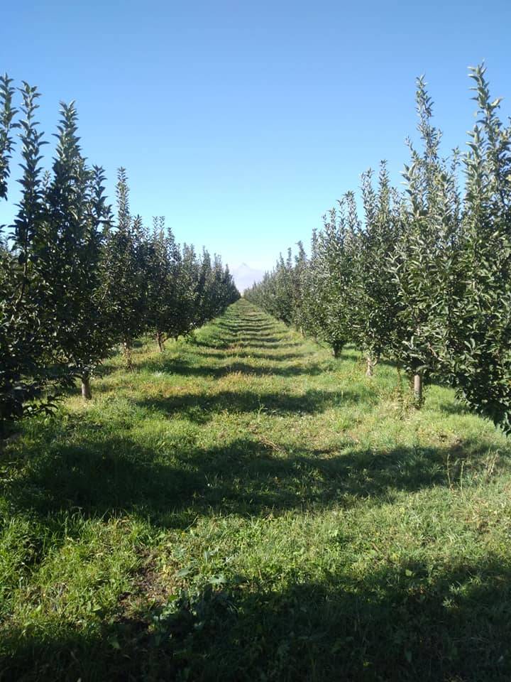 Karaman Eminler Köyü Resimleri 19