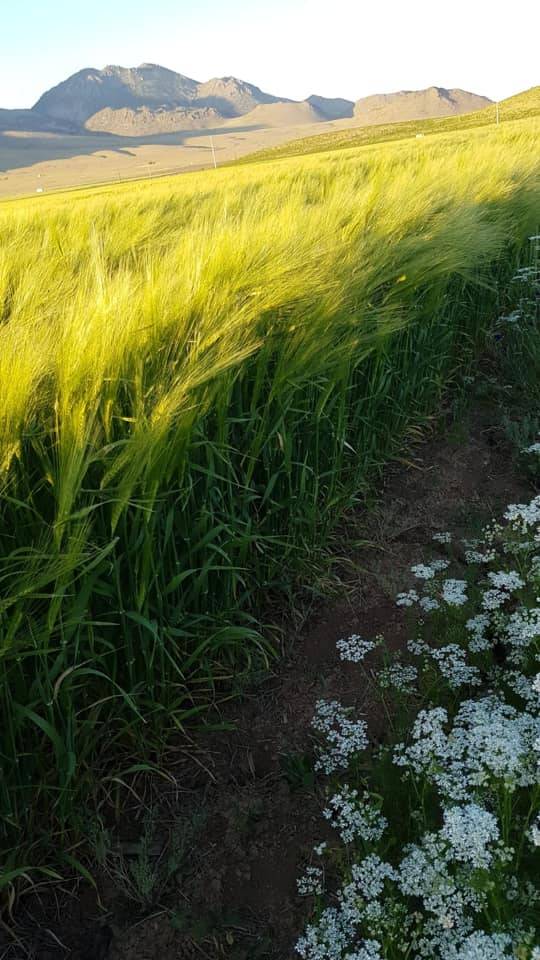 Karaman Eminler Köyü Resimleri 21