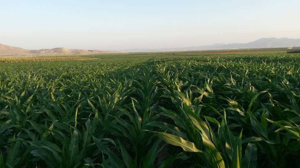 Karaman Eminler Köyü Resimleri 8