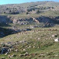 Karaman İhsaniye Köyü Resimleri 1