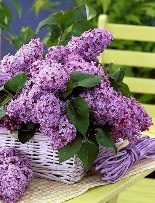 Karaman Karacaören Köyü Resimleri 15