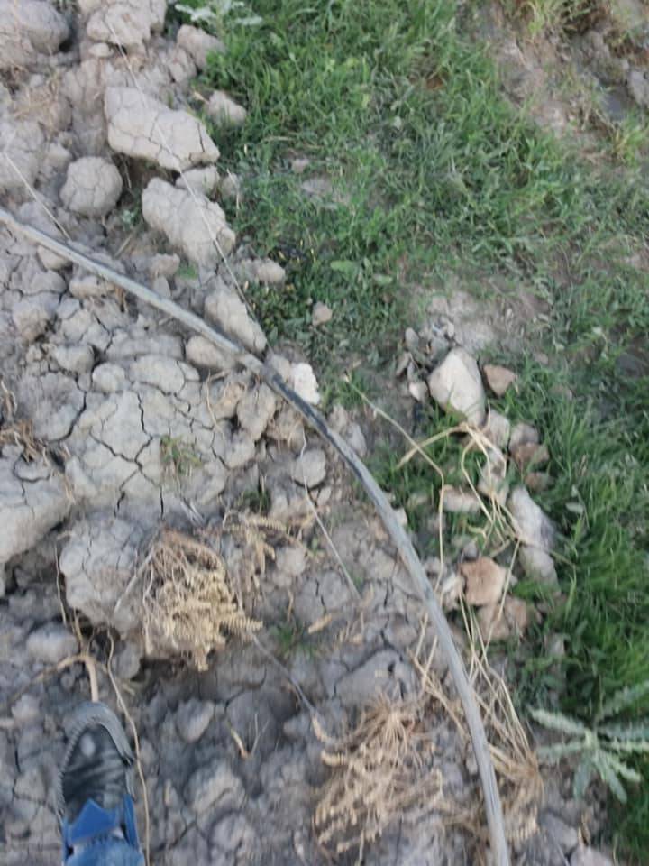 Karaman Kızıllarağını Köyü Resimleri 4