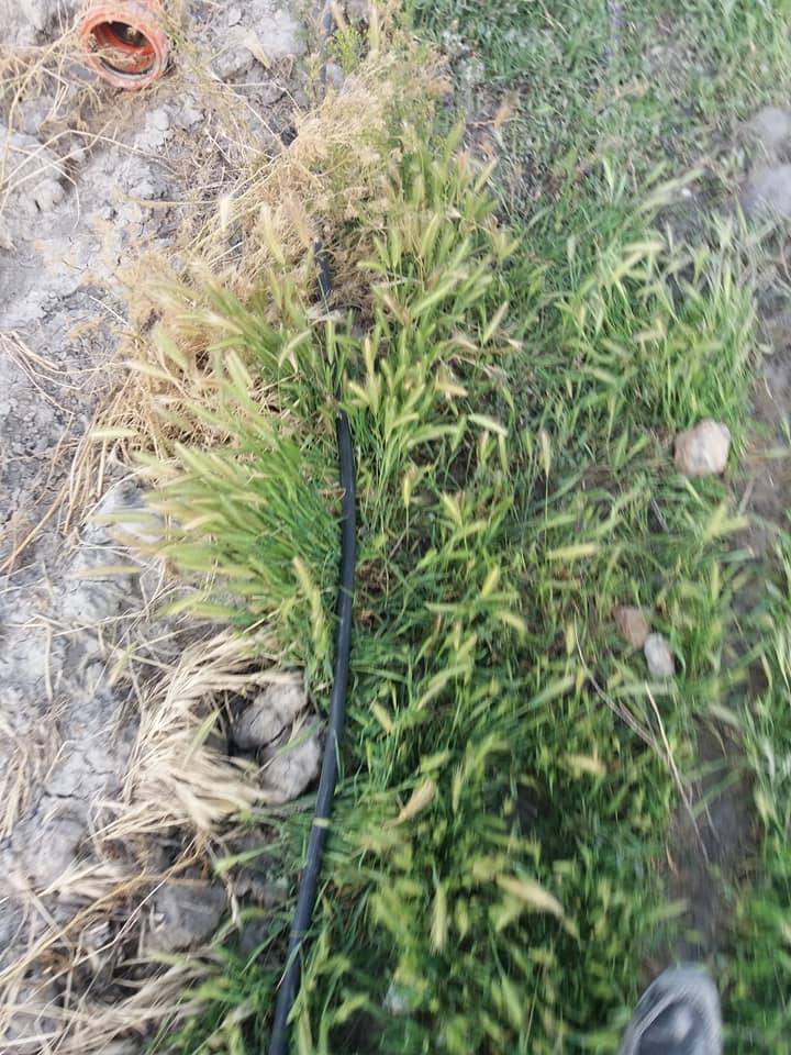 Karaman Kızıllarağını Köyü Resimleri 5