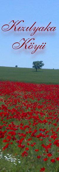 Karaman Kızılyaka Köyü Resimleri 1
