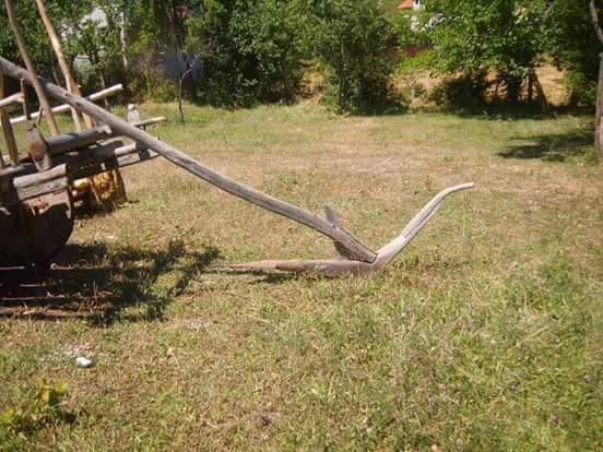 Ovacık Yığınot Köyü Resimleri 3