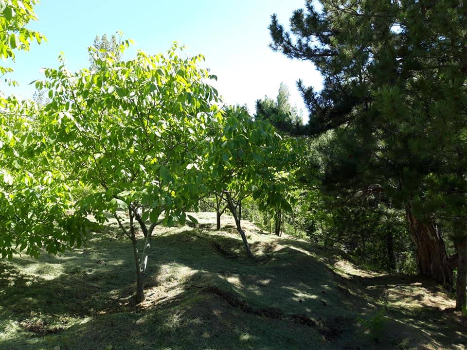 Karaman Medreselik Köyü Resimleri 12