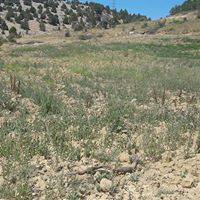 Karaman Medreselik Köyü Resimleri 4