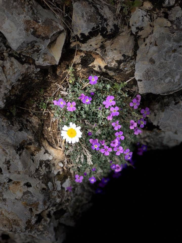 Karaman Medreselik Köyü Resimleri 8